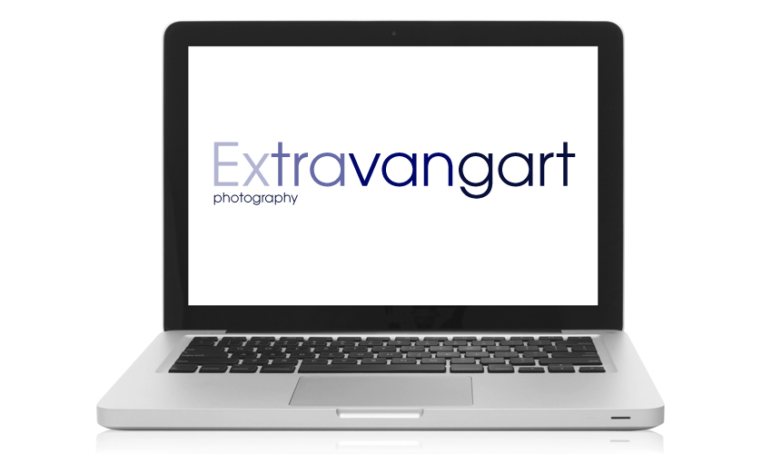 Diseño web, Extravangart