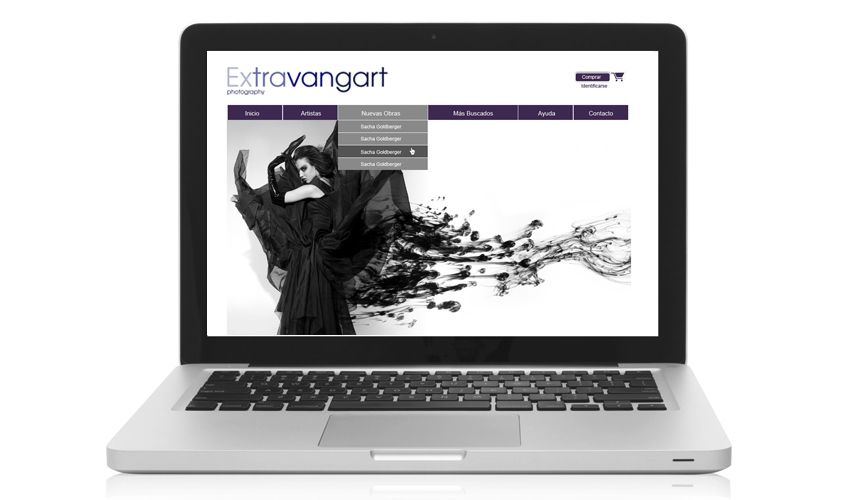 Diseño web, Extravangart